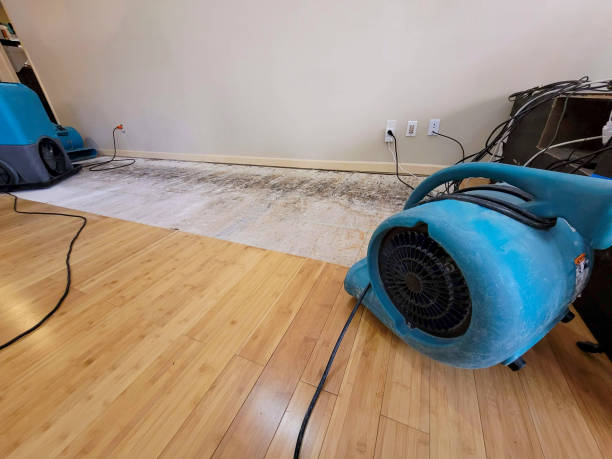 Professional Emergency Water Damage technician working in Red Oak, TX